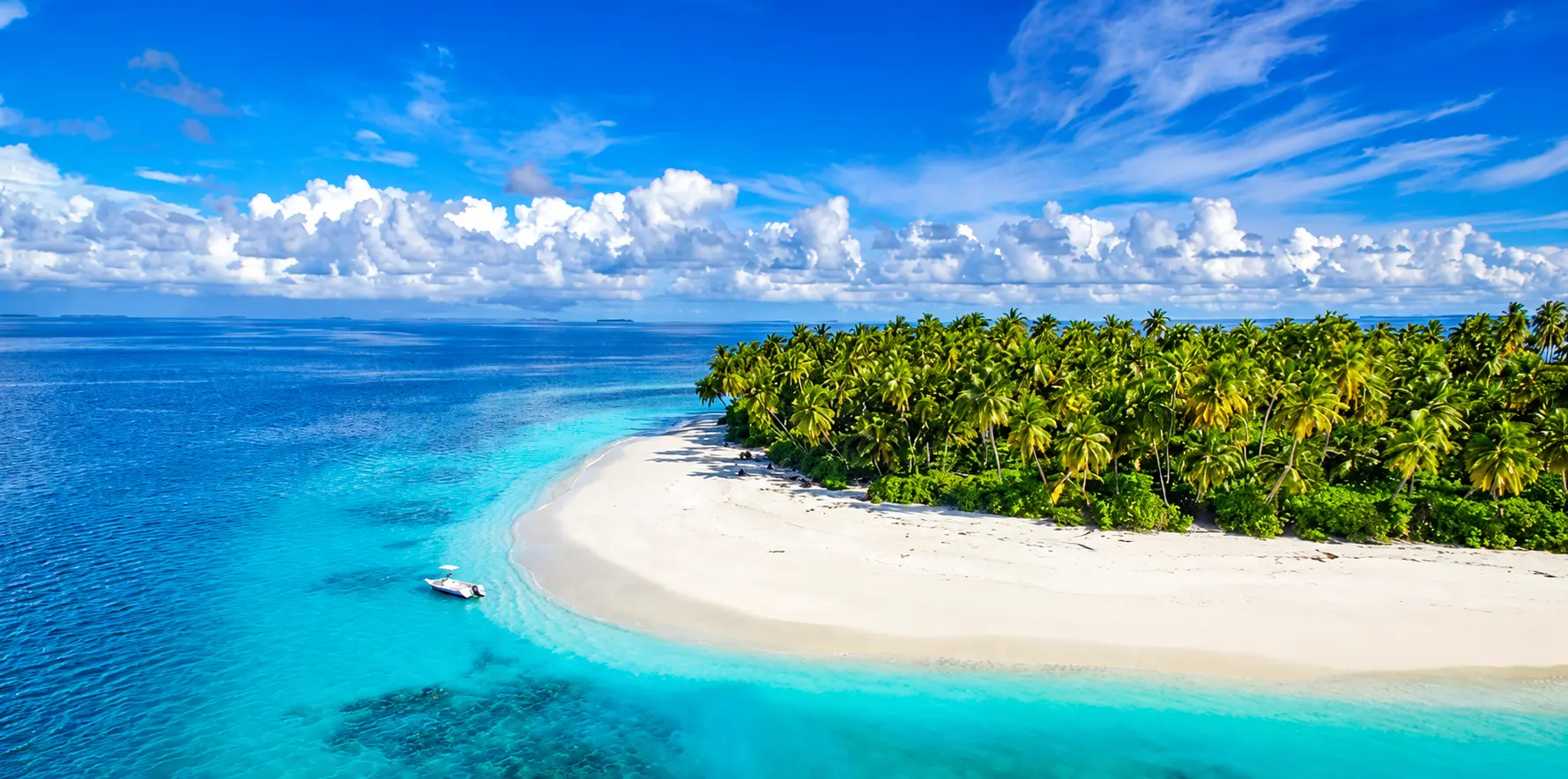White sand garden